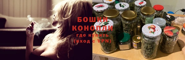 индика Покровск