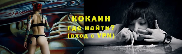 индика Покровск