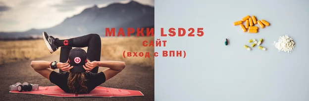 индика Покровск