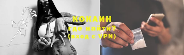 индика Покровск