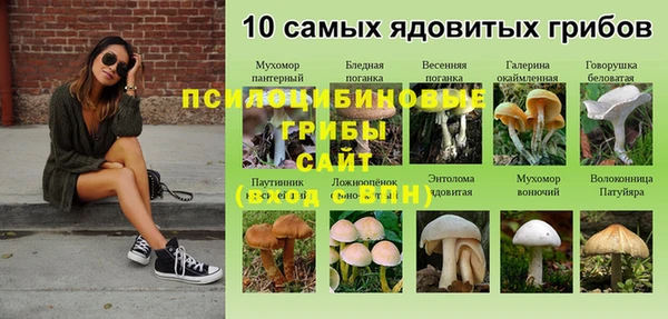 гидра Покров