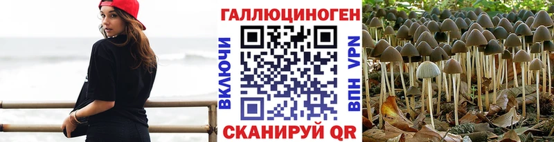 Купить где  Касли  Псилоцибиновые грибы мухоморы 